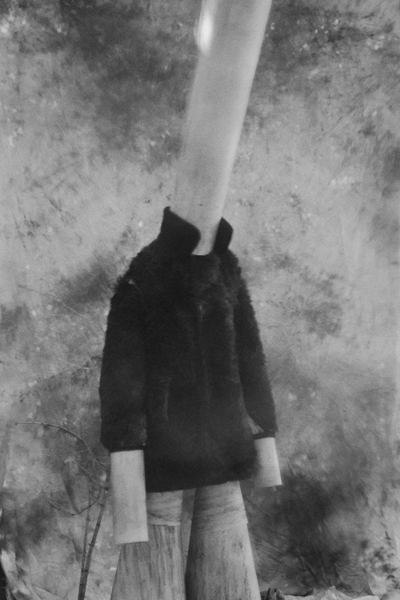 Современная концептуальная фотография мифического персонажа с длинной шеей