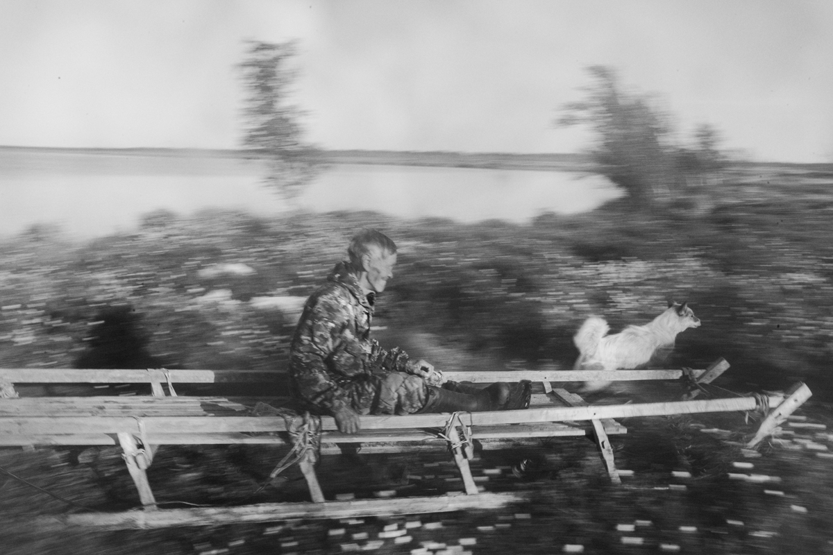 Чёрно-белая фотография мужчины на нартах с собакой в движении. Тундра, Россия, 2023.
