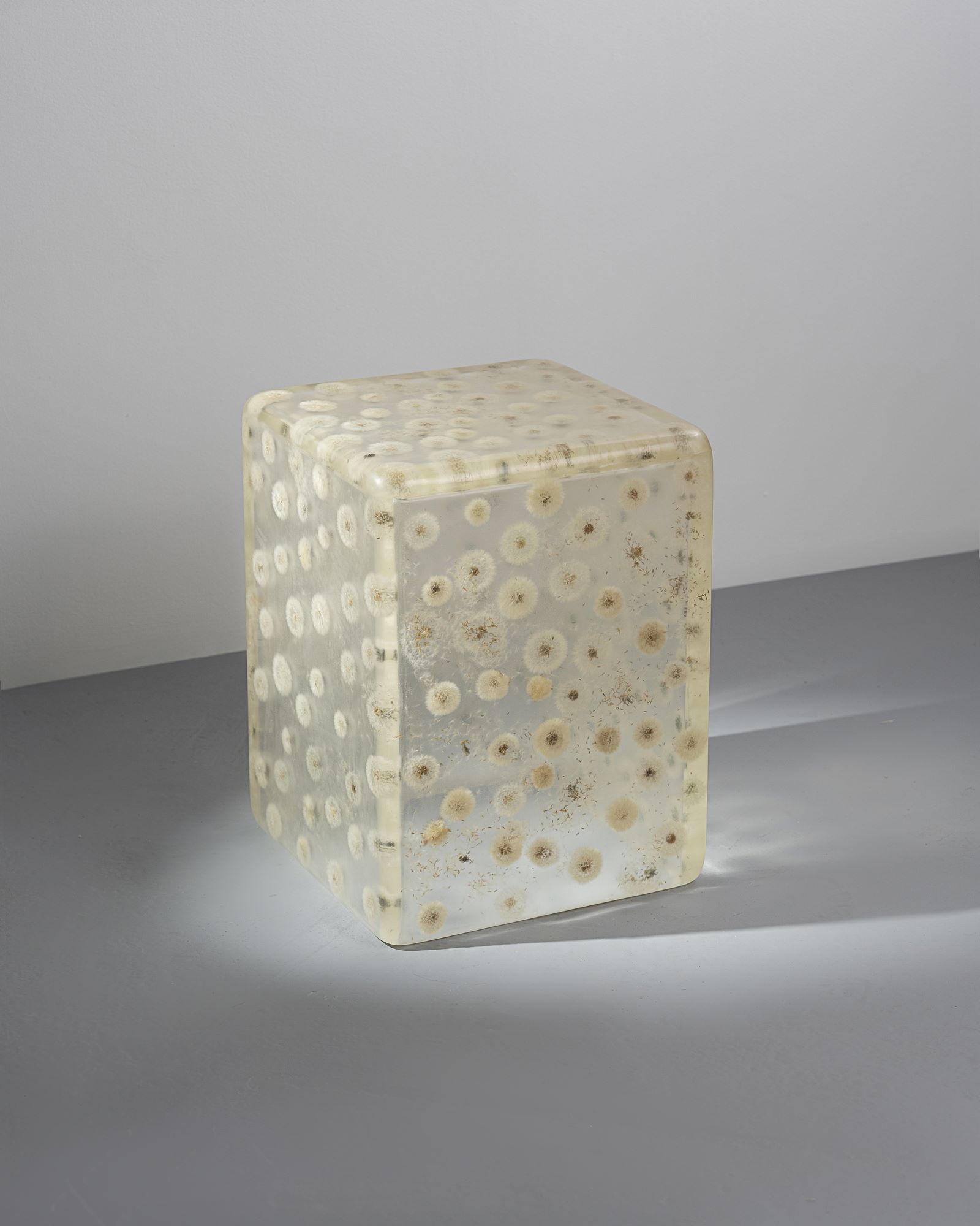 Стол Taraxacum, Аня Андросова, куб из эпоксидной смолы с одуванчиками, дизайнерская мебель, 2024