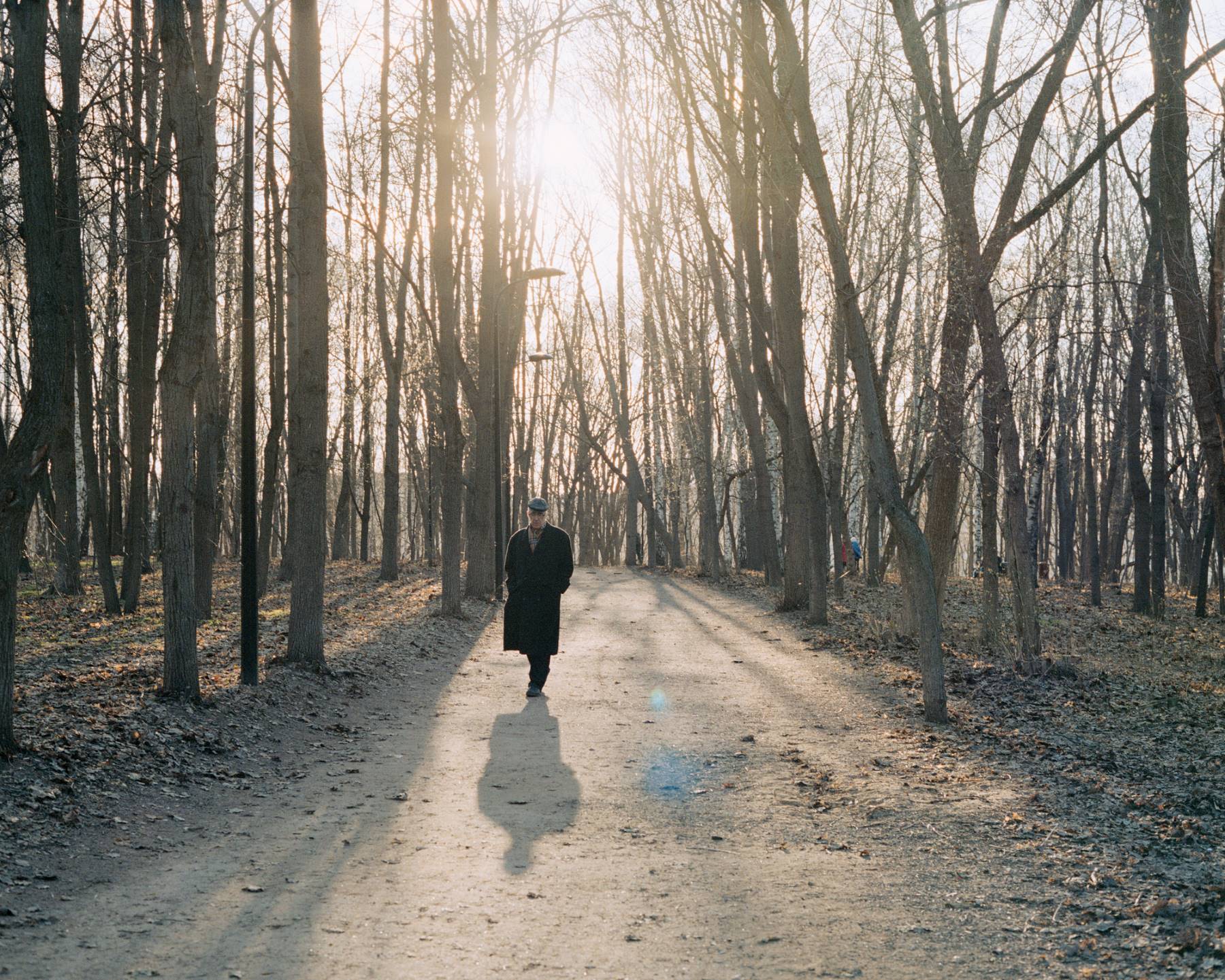 Москва, парк в лучах солнца — авторская фотография Леонида Сорокина, прогулка в лесу, городской пейзаж, 2017