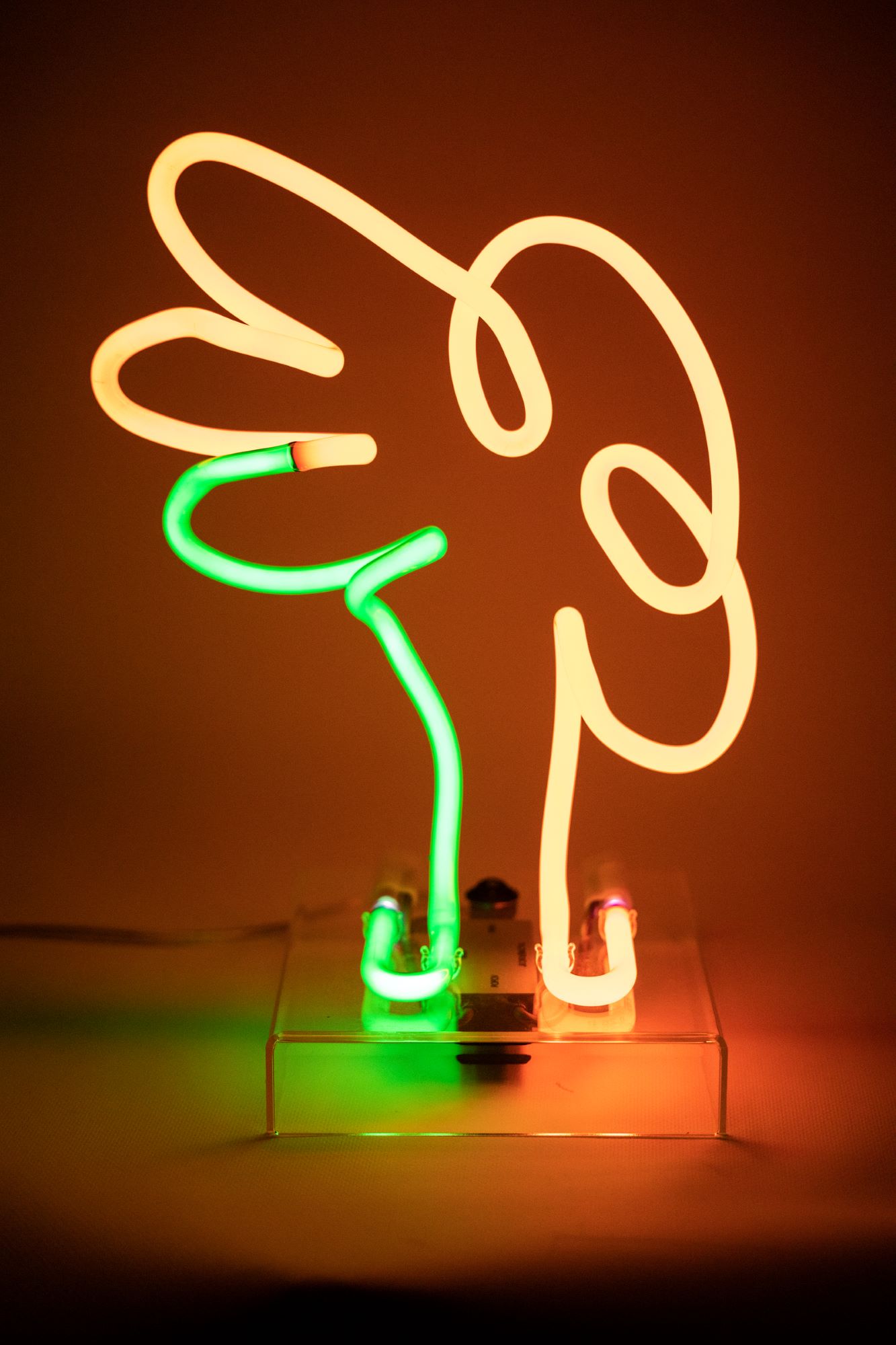 Неоновый светильник 