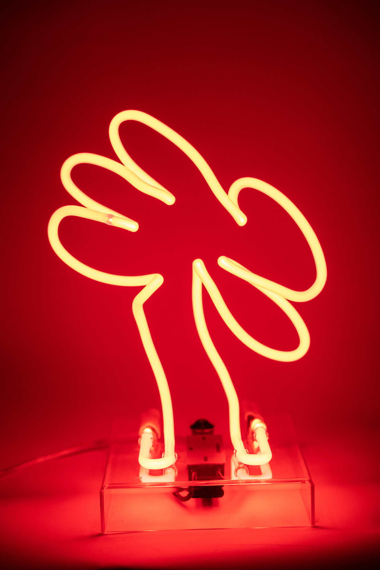 Неоновая лампа 