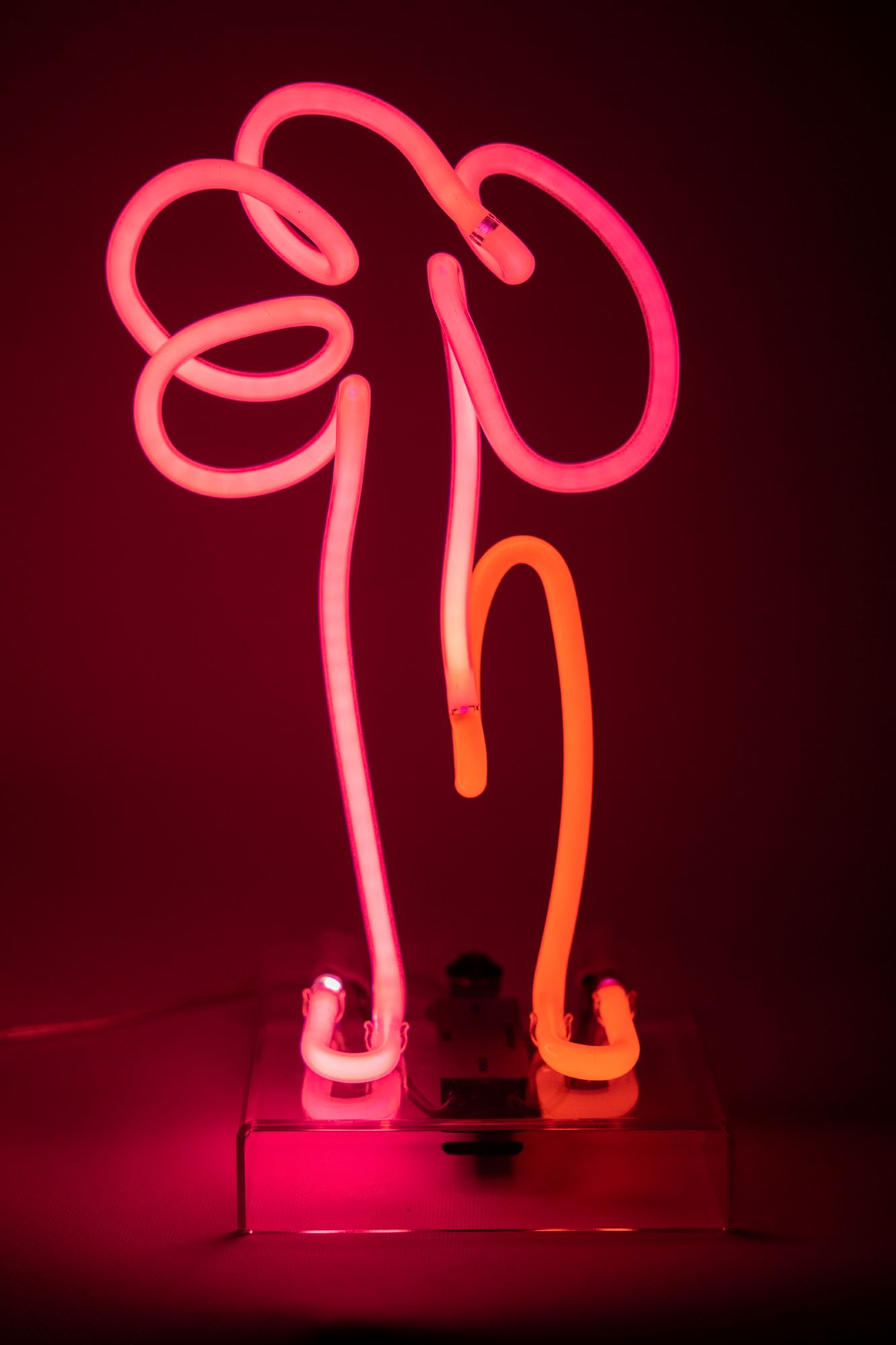 Яркий розово-оранжевый неоновый цветок — настольный светильник из серии 