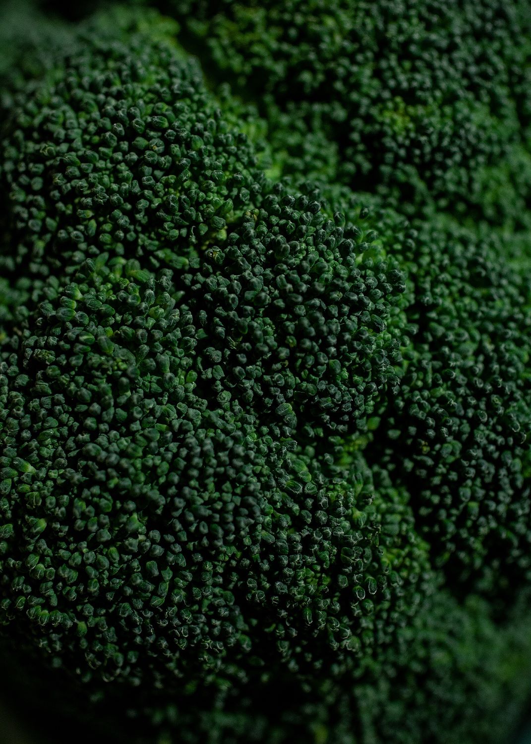 Макрофотография зелёной брокколи, фрагмент натюрморта, Зелёный, 2021, 56×40 см