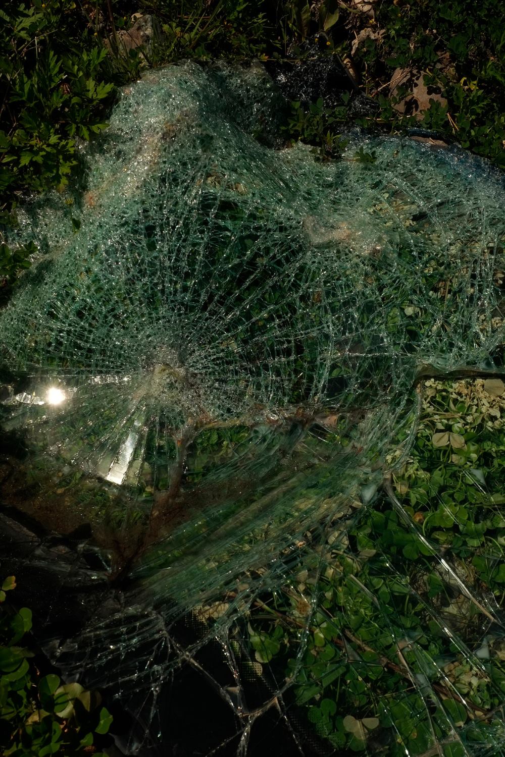 Разбитое стекло на фоне зелени, фото из серии High Speed, Лена Цибизова, 70×50 см