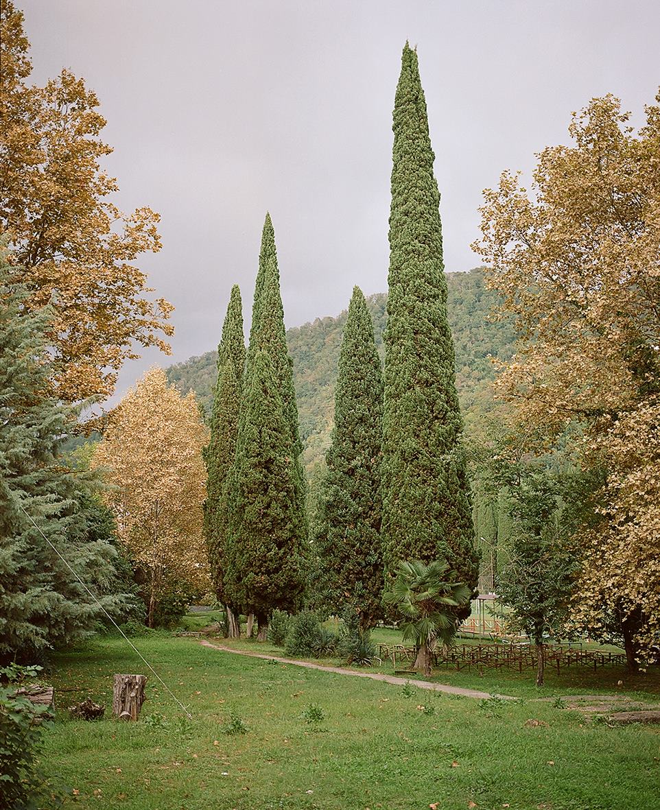 Фотография с кипарисами в парке у подножья гор, Леонид Сорокин, 90×73 см