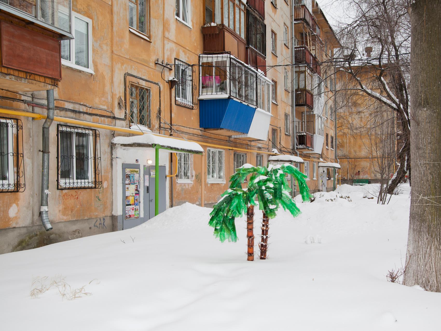 Фото с пальмами на заснеженном дворе, Екатеринбург, Телков
