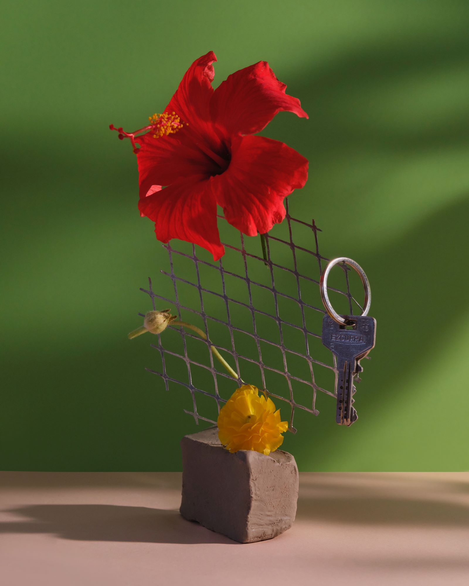 Красный цветок и ключ на фоне зелёной стены. Арт-фотография Anastasia Fainberg, символизм, 2025