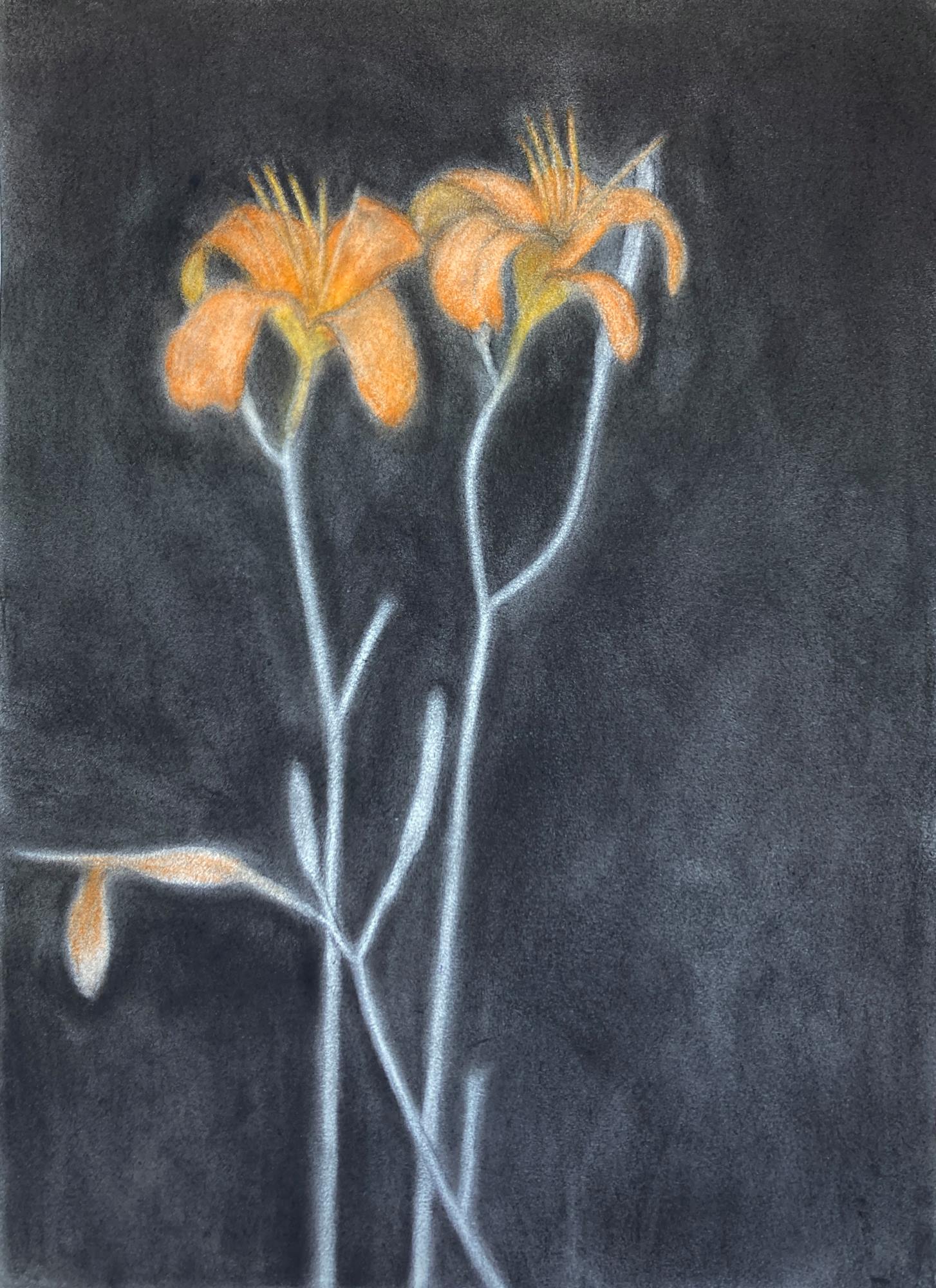 Оранжевые лилии на тёмном фоне, пастель и уголь на бумаге, художник Алексей Яковлев, 2025.